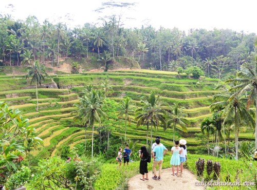 Ubud Bali Photo