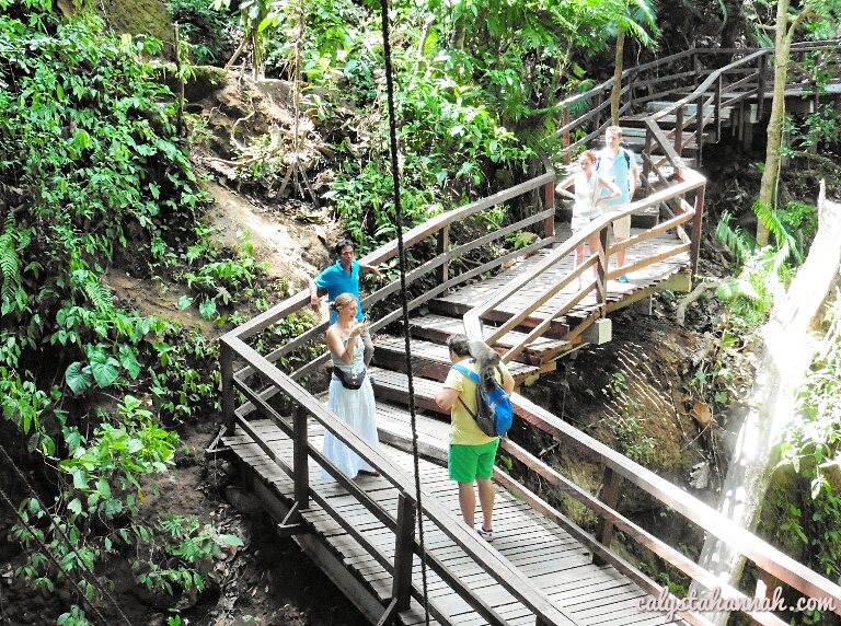 Ubud Monkey Forest – A Wild Encounter With The Cheeky Devils