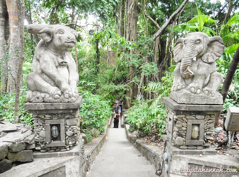 Ubud Monkey Forest – A Wild Encounter With The Cheeky Devils