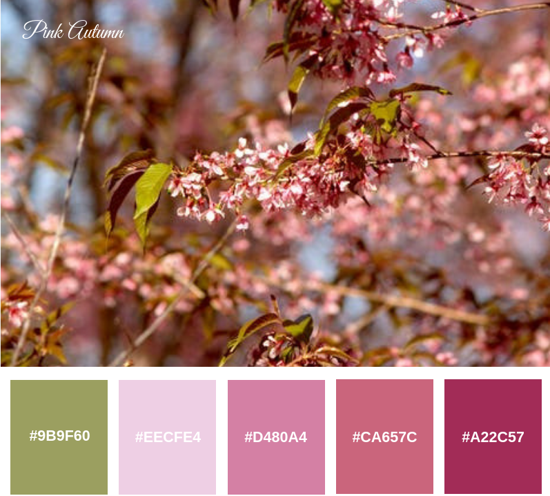 Pink Autumn Palette