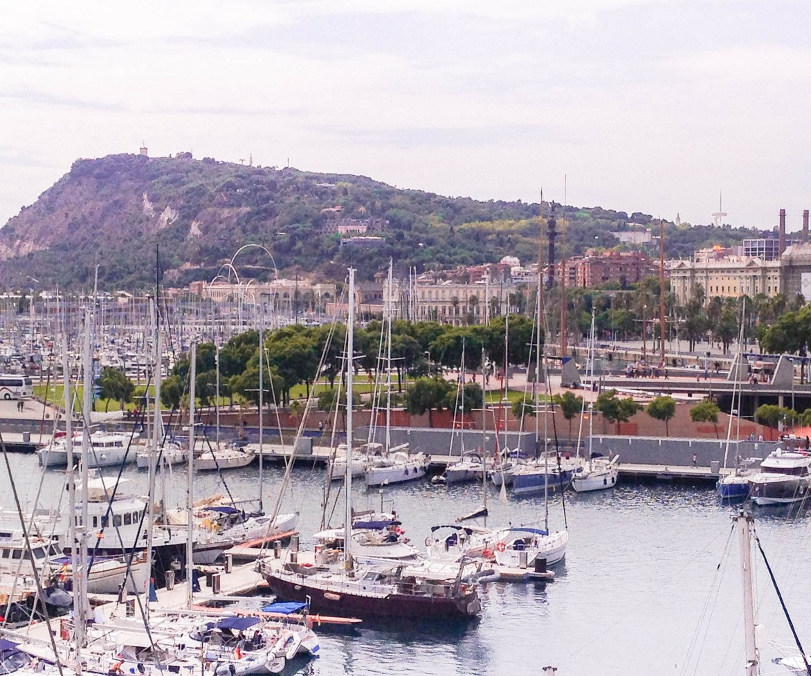 Photo 6-9-15 8 04 56 pm-2